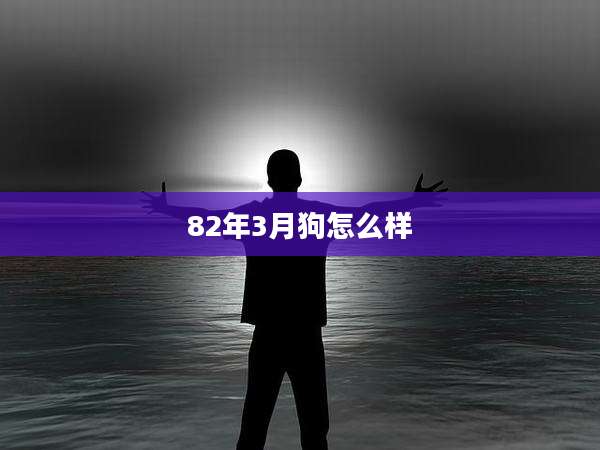 82年3月狗怎么样