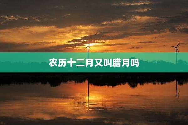 农历十二月又叫腊月吗