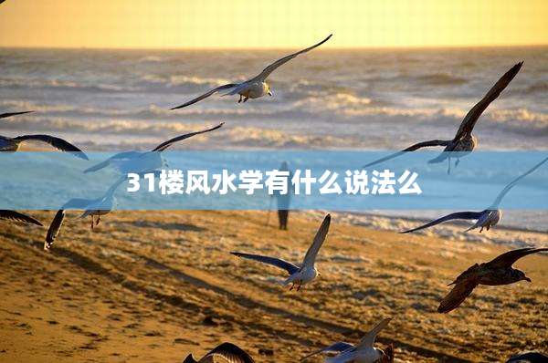 31楼风水学有什么说法么