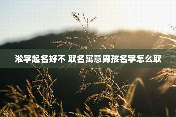 淞字起名好不 取名寓意男孩名字怎么取