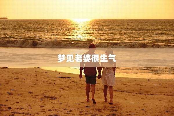 梦见老婆很生气