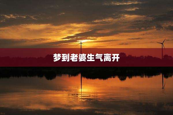 梦到老婆生气离开