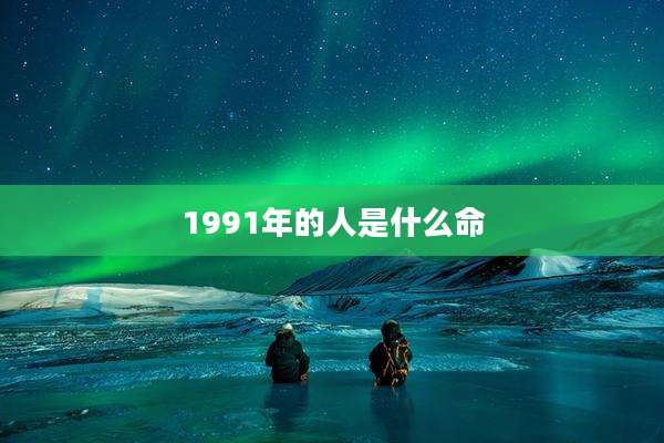 1991年的人是什么命