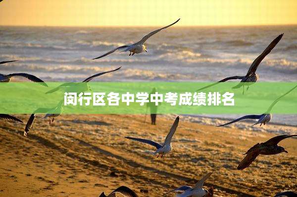 闵行区各中学中考成绩排名