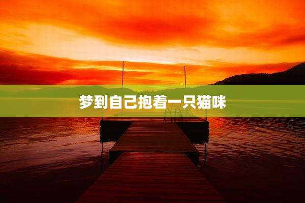 梦到自己抱着一只猫咪