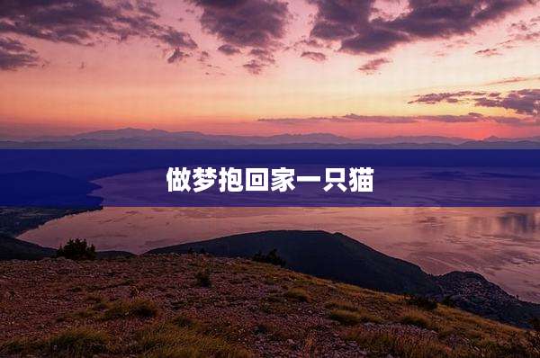 做梦抱回家一只猫
