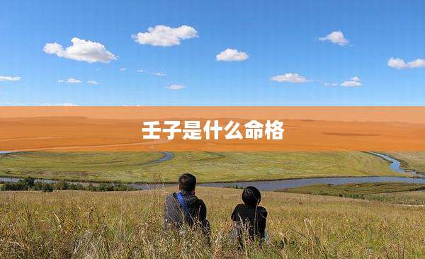 壬子是什么命格