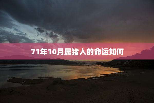 71年10月属猪人的命运如何