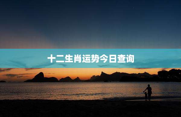 十二生肖运势今日查询