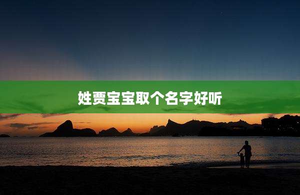 姓贾宝宝取个名字好听