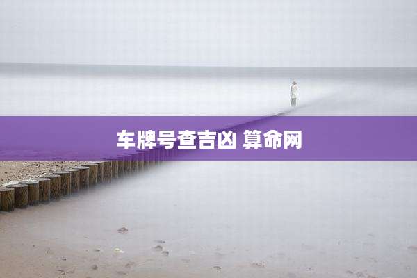 车牌号查吉凶 算命网
