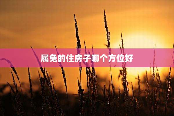 属兔的住房子哪个方位好
