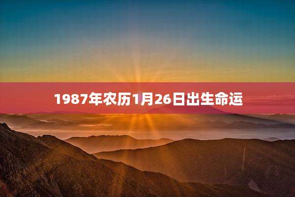 1987年农历1月26日出生命运