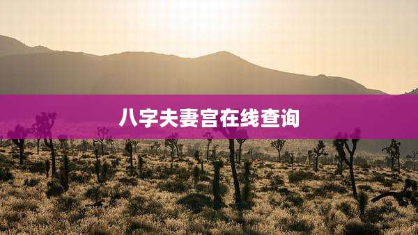 八字夫妻宫在线查询