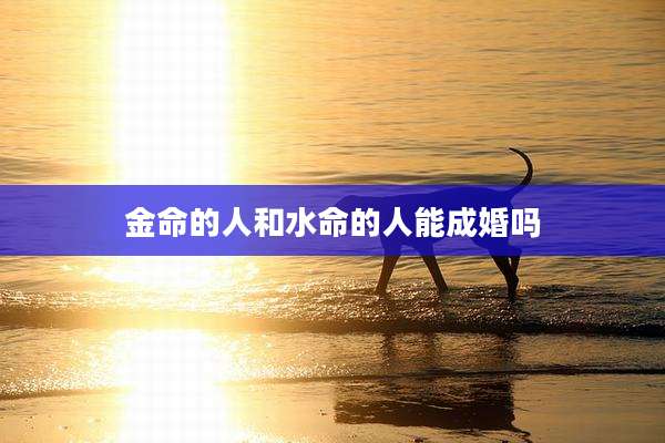 金命的人和水命的人能成婚吗