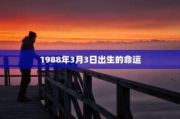 1988年3月3日出生的命运