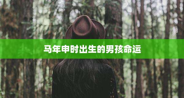 马年申时出生的男孩命运