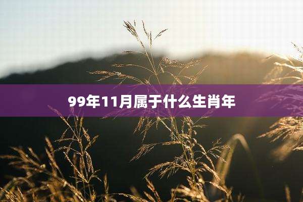 99年11月属于什么生肖年