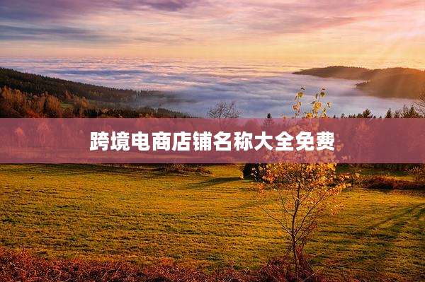 跨境电商店铺名称大全免费