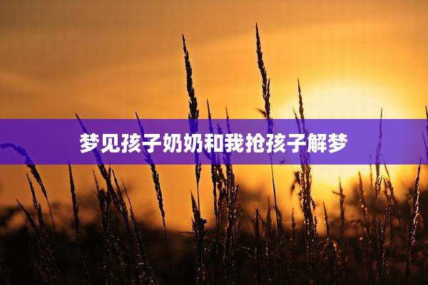 梦见孩子奶奶和我抢孩子解梦