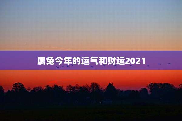 属兔今年的运气和财运2021