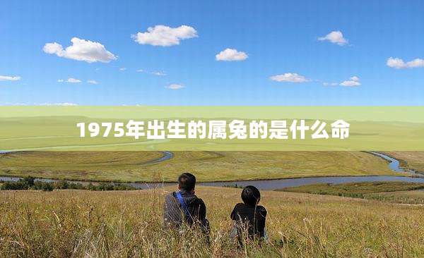 1975年出生的属兔的是什么命