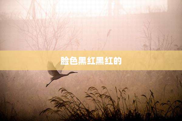 脸色黑红黑红的
