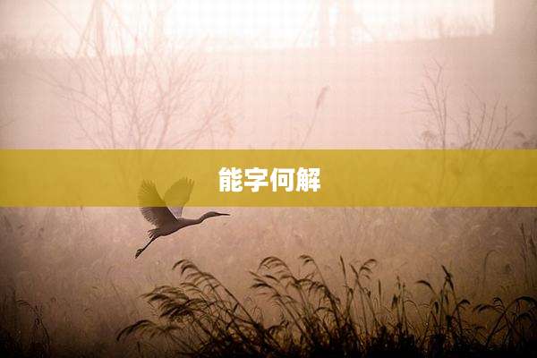 能字何解