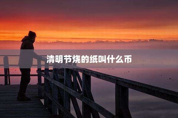 清明节烧的纸叫什么币