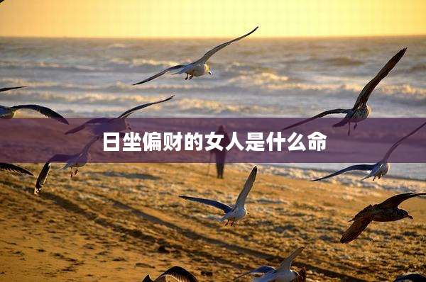 日坐偏财的女人是什么命