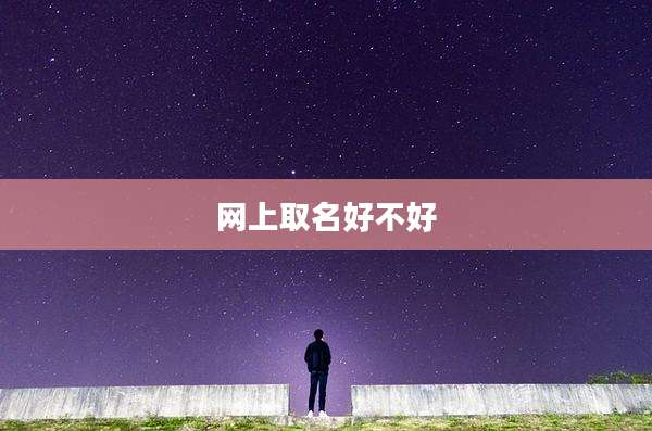 网上取名好不好