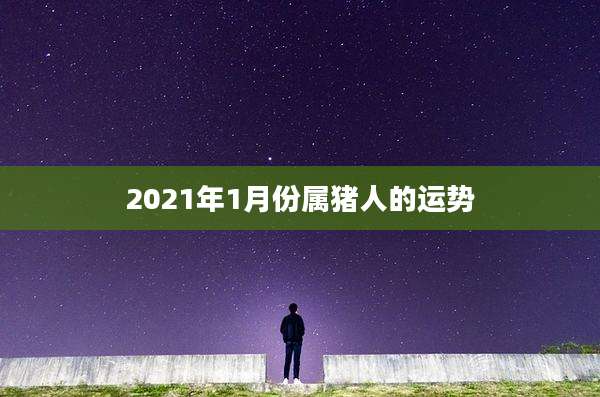 2021年1月份属猪人的运势
