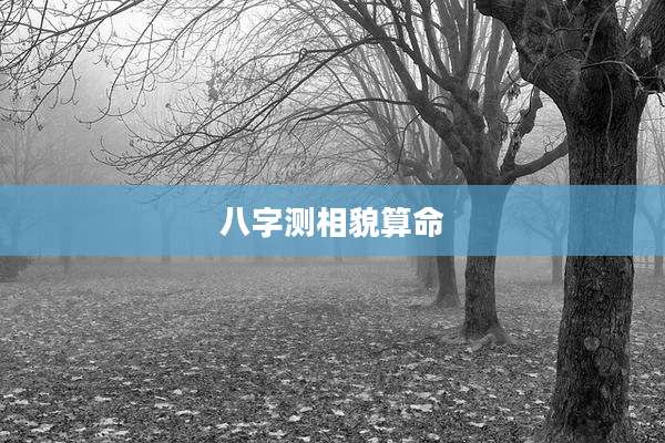 八字测相貌算命