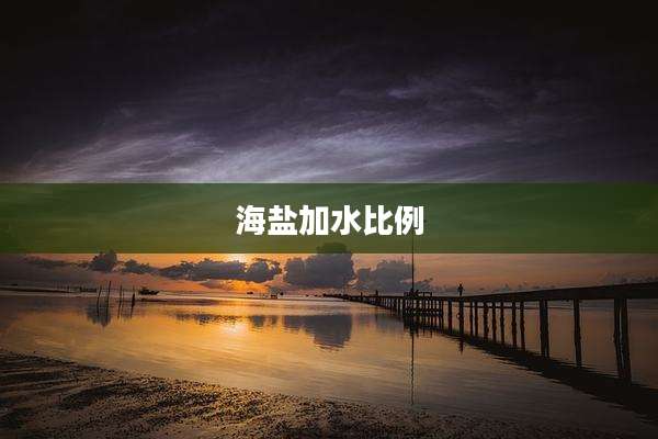 海盐加水比例