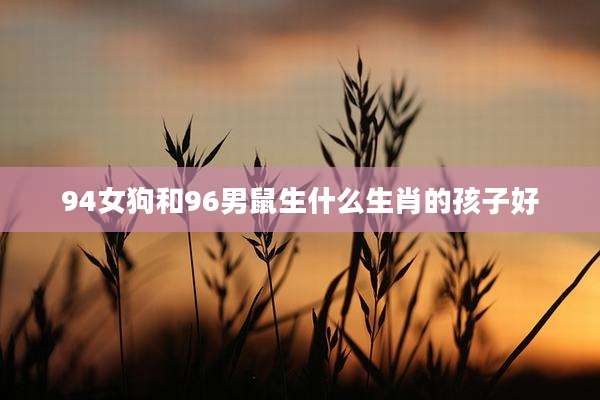 94女狗和96男鼠生什么生肖的孩子好
