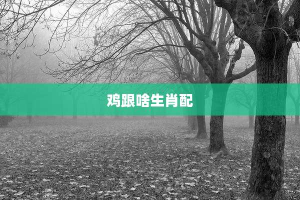 鸡跟啥生肖配