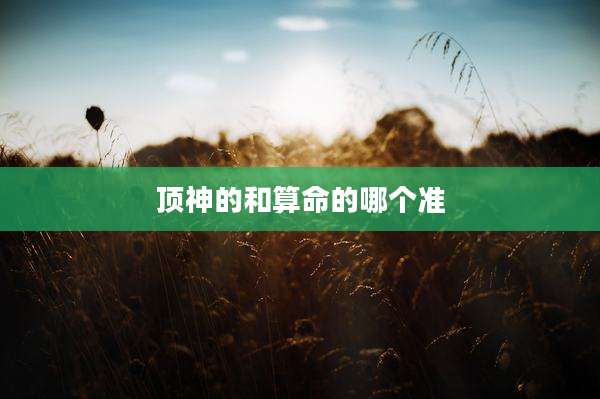 顶神的和算命的哪个准