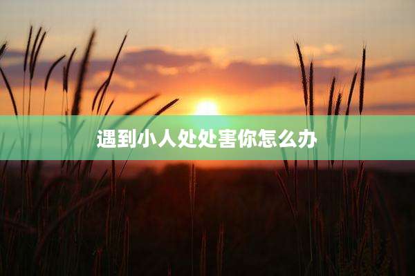 遇到小人处处害你怎么办