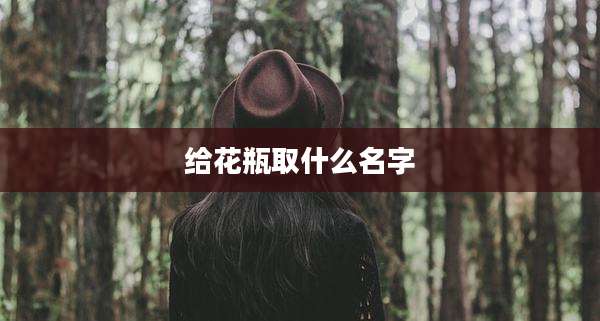 给花瓶取什么名字