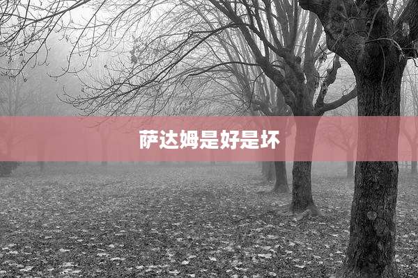 萨达姆是好是坏