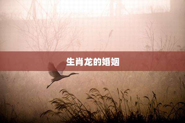 生肖龙的婚姻