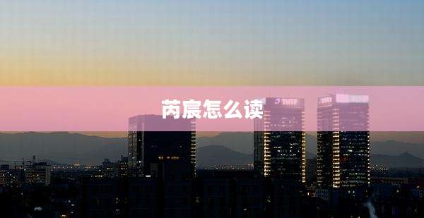 芮宸怎么读