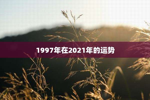 1997年在2021年的运势