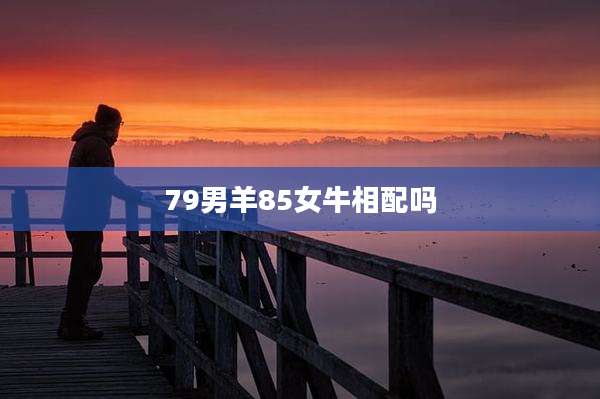 79男羊85女牛相配吗