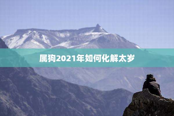 属狗2021年如何化解太岁