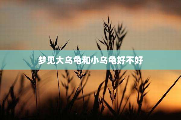 梦见大乌龟和小乌龟好不好