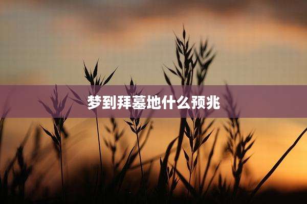 梦到拜墓地什么预兆