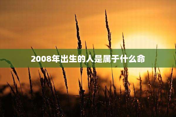 2008年出生的人是属于什么命
