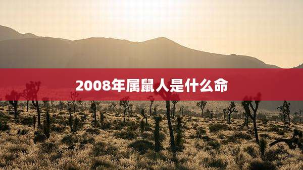 2008年属鼠人是什么命