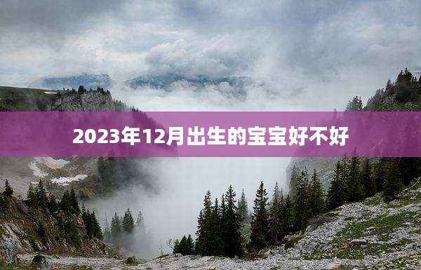 2023年12月出生的宝宝好不好